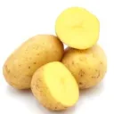 Kartoffeln Festkochend vom Lenzenhof 