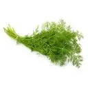 Dill