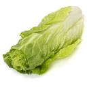 Zuckerhut Salat