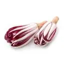 Radicchio Tardivo