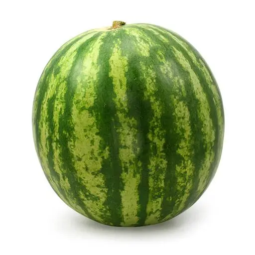 Wassermelone groß