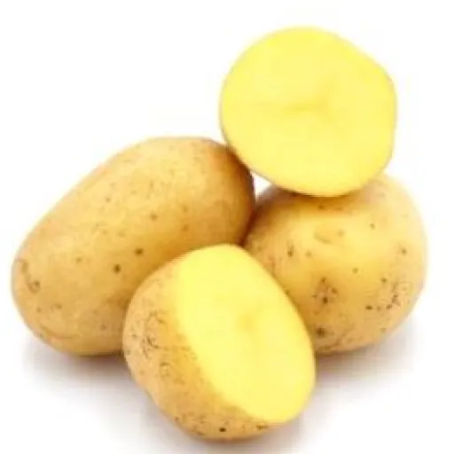 Kartoffeln Festkochend vom Lenzenhof