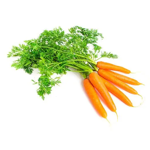 Karotten mit Kraut
