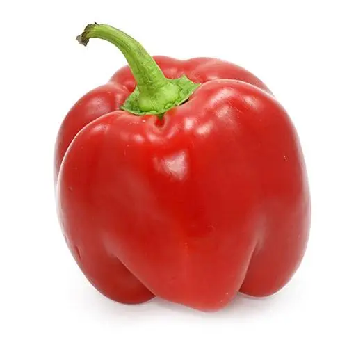 Peperoni Rot