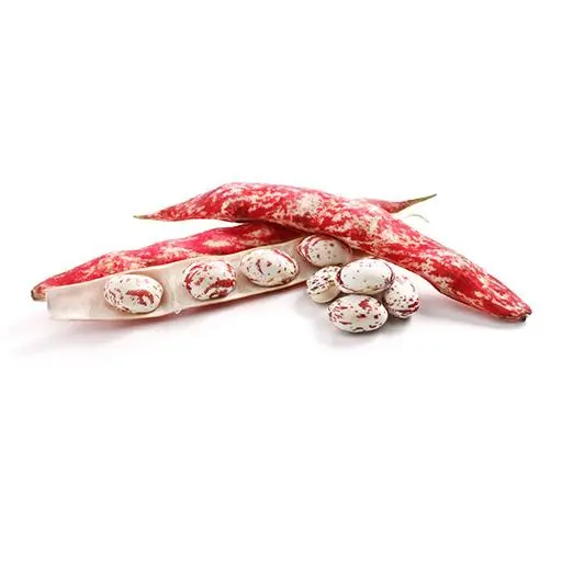 Borlotti Bohnen