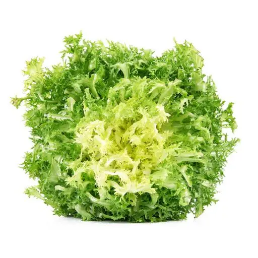 Riccia-Salat