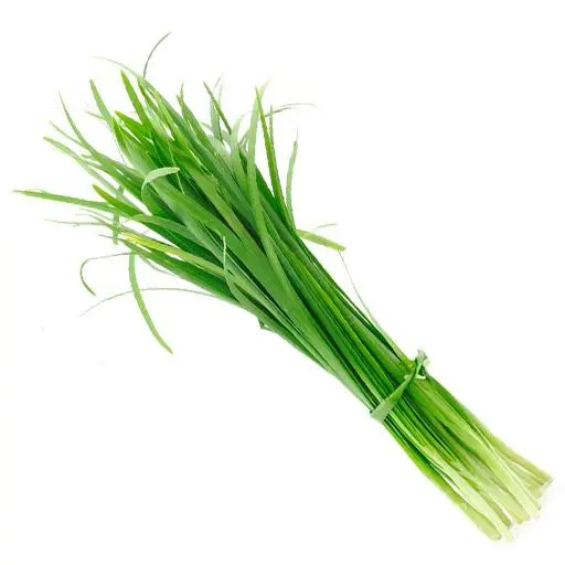 Knoblauchsprossen