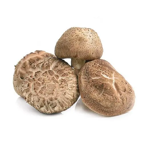 Shiitake Pilze