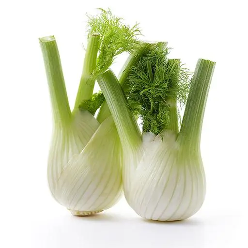 Fenchel