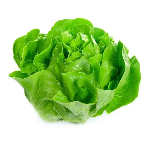 Maikönig-Salat