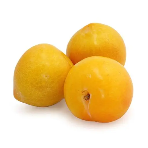 Ringlo-Gelb