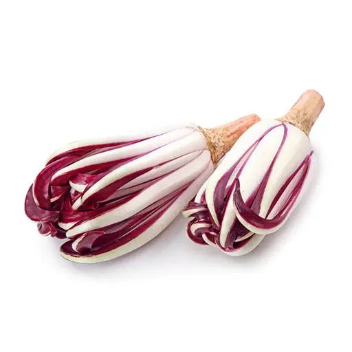 Radicchio Tardivo