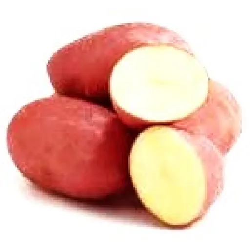 Rote Kartoffel vom Lenzenhof